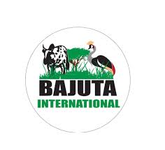 Bajuta International